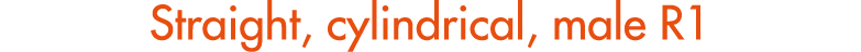 Straight, cylindrical, male R1