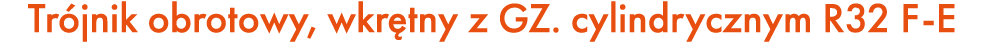 Tr jnik obrotowy, wkr tny z GZ. cylindrycznym R32 F E