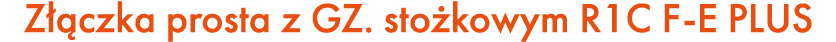 Z czka prosta z GZ. sto kowym R1C F E PLUS
